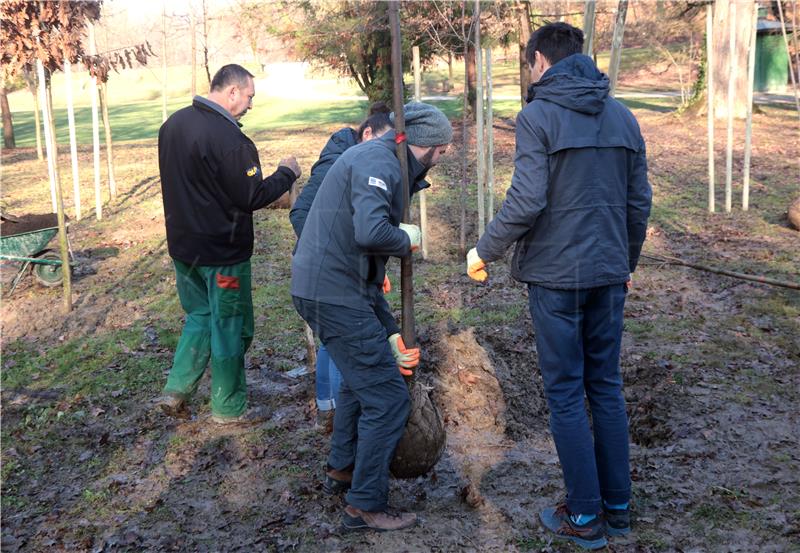 U parku Maksimir posađena stabla zavičajnih vrsta