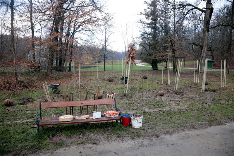 U parku Maksimir posađena stabla zavičajnih vrsta