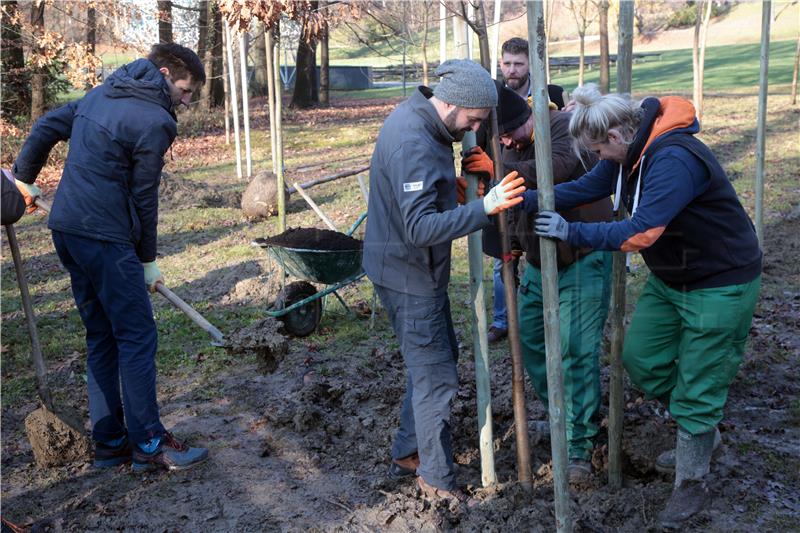 U parku Maksimir posađena stabla zavičajnih vrsta