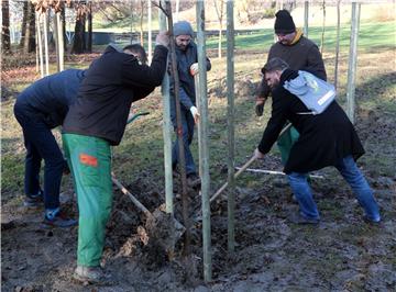 U parku Maksimir posađena stabla zavičajnih vrsta