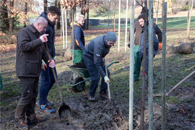 U parku Maksimir posađena stabla zavičajnih vrsta