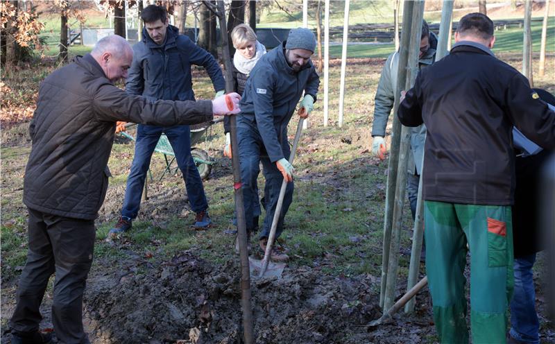 U parku Maksimir posađena stabla zavičajnih vrsta