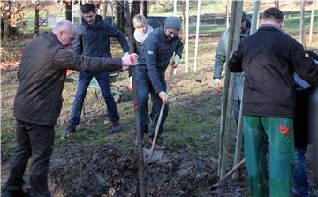 U parku Maksimir posađena stabla zavičajnih vrsta