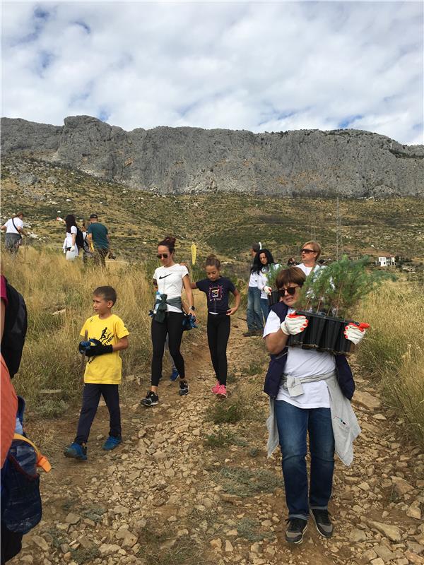 Volunteers plant 15,000 seedlings across Croatia within forestation campaign