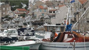 "Djeca Neptuna" čuvaju bioraznolikost viškog arhipelaga i traže održivo ribarstvo