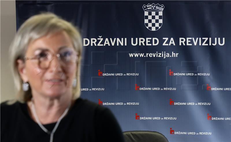 Revizija: Niz nepravilnosti u poslovanju Domovinskog pokreta