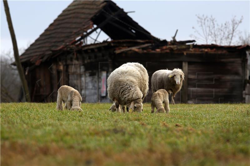 €13.3m scheme available for restoring farm production in quake-hit areas