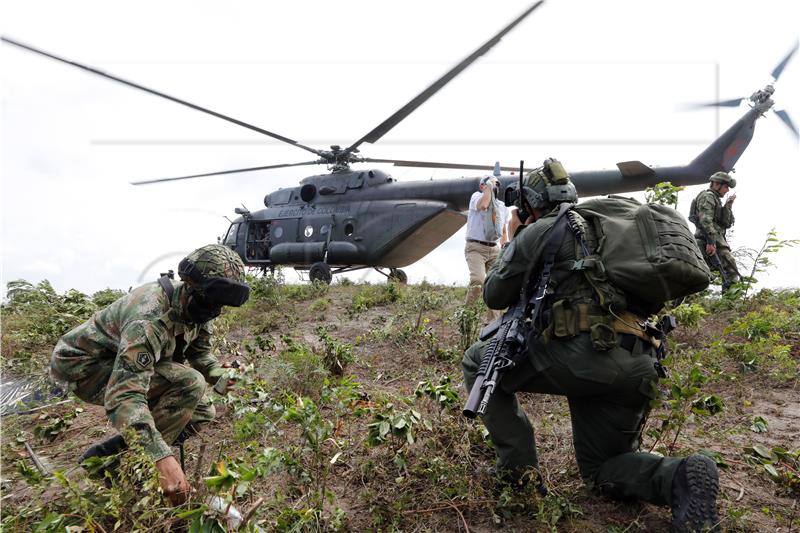 COLOMBIA DRUGS COCA