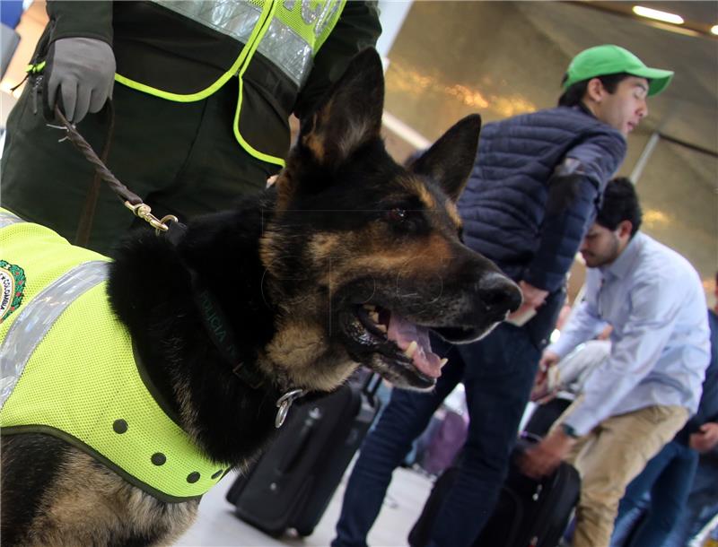 Jednogodišnja kuja odvela policiju do mjesta nesreće i spasila vlasnika