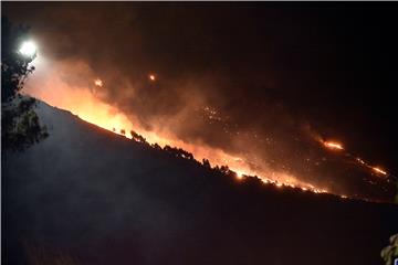 Požar u Lokvi Rogoznici kraj Omiša