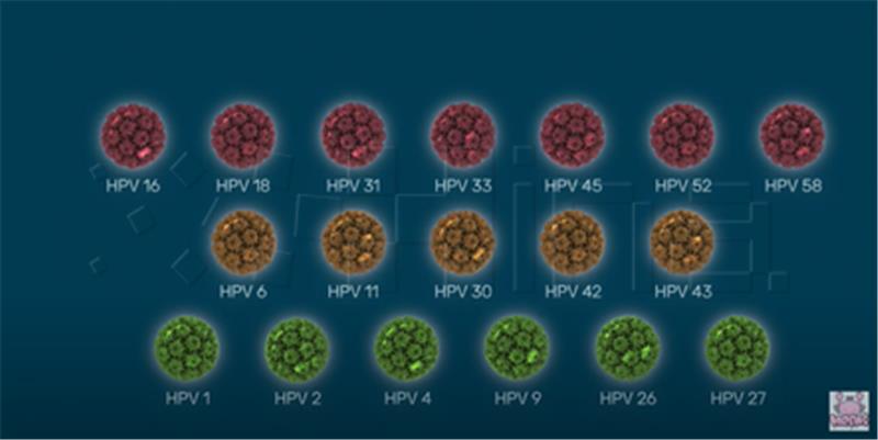 Predstavljen edukativni video o HPV-u u sklopu "Budi mRAK" kampanje