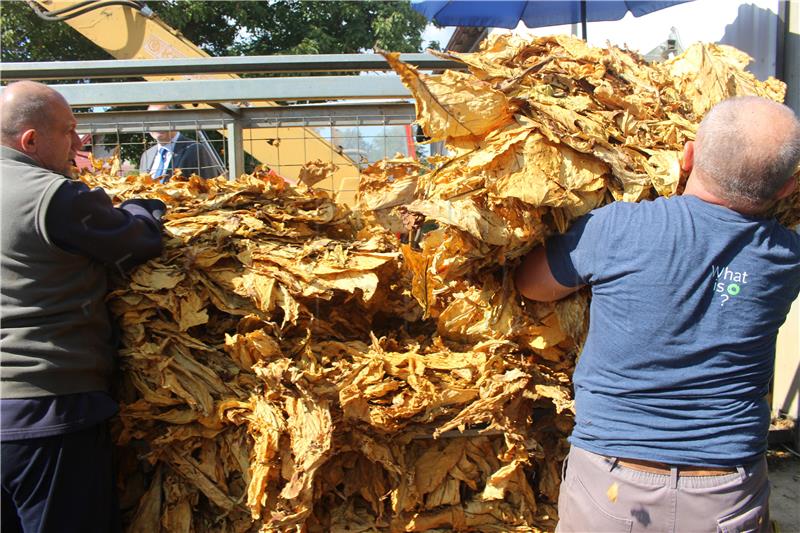 HD tobacco processing company begins negotiations on new production season