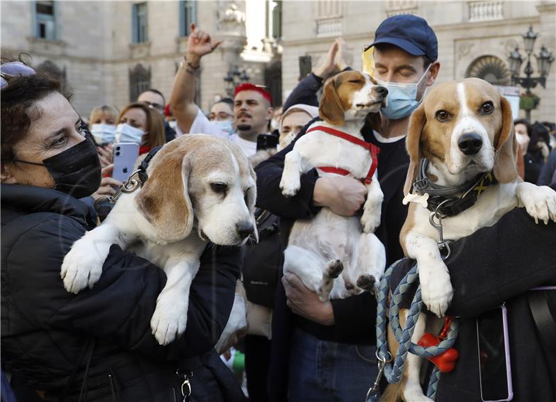 SPAIN ANIMALS PROTEST