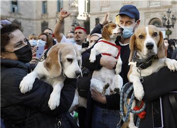 SPAIN ANIMALS PROTEST