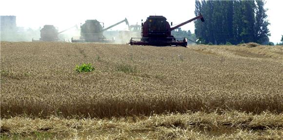 Croatia's 2021 agricultural output up by estimated 8.1%