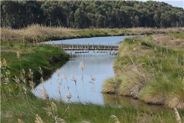  World Wetlands Day being marked in Croatia