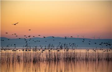 NORTH MACEDONIA DOJRAN LAKE