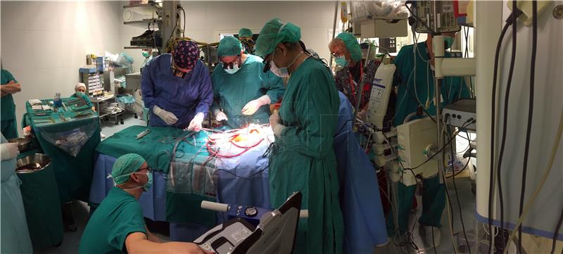 Number of organ transplants in Croatia in 2021 up 26.5% despite pandemic