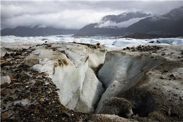 CHILE ANTARCTICA BIODIVERSITY