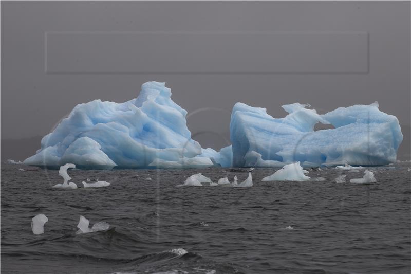 CHILE ANTARCTICA BIODIVERSITY