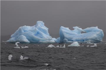 CHILE ANTARCTICA BIODIVERSITY