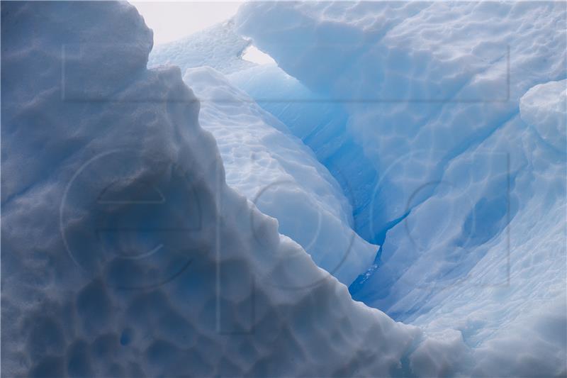 CHILE ANTARCTICA BIODIVERSITY