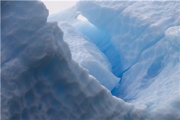 CHILE ANTARCTICA BIODIVERSITY