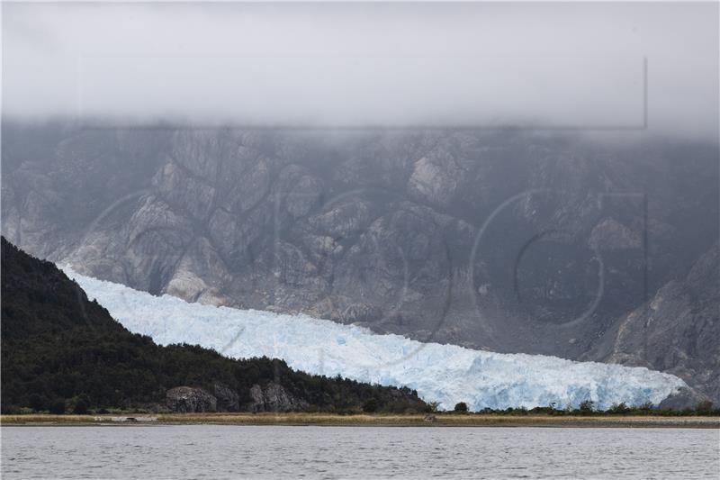 CHILE ANTARCTICA BIODIVERSITY