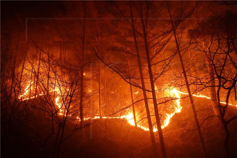 SOUTH KOREA FIRE WILDFIRE