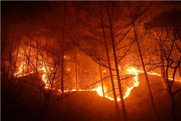 SOUTH KOREA FIRE WILDFIRE