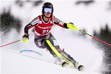 SWEDEN ALPINE SKIING WORLD CUP&#x9;