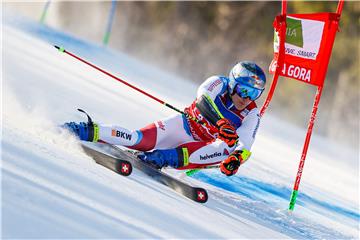 Kranjska Gora, veleslalom (m): Zubčić 22.