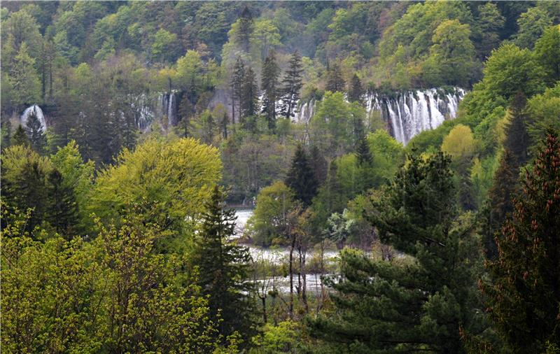 Croatia marking International Forest Day