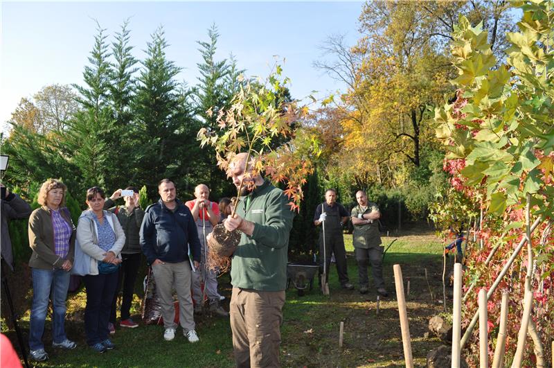 Croatia boasts 95% of natural forests, sustainable forestry management