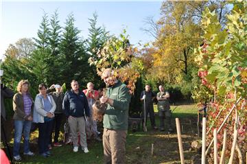 Croatia boasts 95% of natural forests, sustainable forestry management