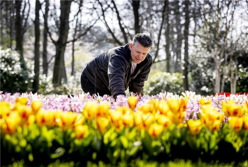 NETHERLANDS NATURE KEUKENHOF