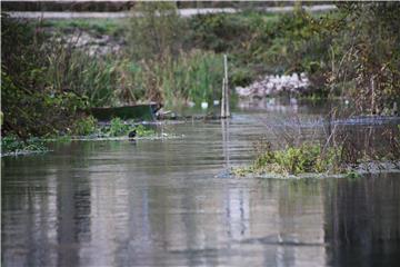 Svjetski dan voda posvećen podzemnim vodama