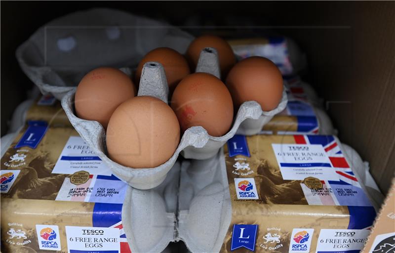 BRITAIN BIRD FLU FREE RANGE EGGS SHORTAGE