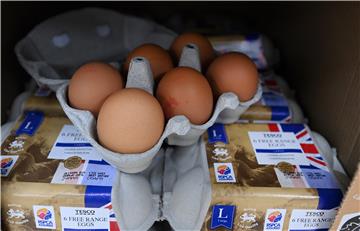 BRITAIN BIRD FLU FREE RANGE EGGS SHORTAGE