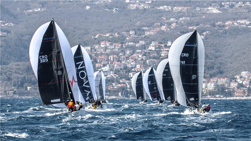 Rovinj hosting one of biggest one-design regattas in Croatia
