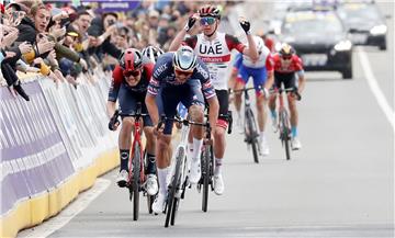 Ronde van Vlaanderen: Van der Poel nadmudrio Pogačara