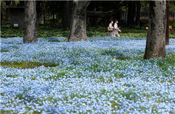 JAPAN NATURE