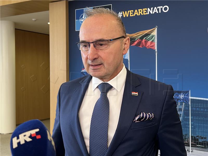 Grlić Radman: RH će "uskoro" protjerati dio ruskih diplomata