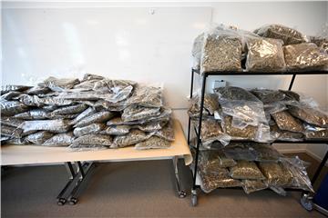 SWEDEN CRIME CANNABIS