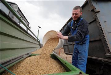 UKRAINE AGRICULTURE