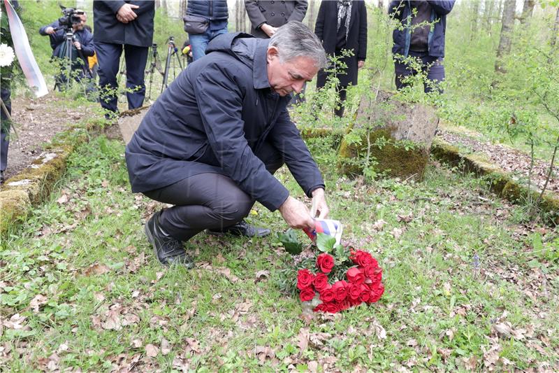 Izjava Milorada Pupovca na lokalitetu Krapje