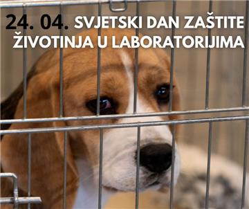 Prijatelji životinja: Omogućite kozmetiku proizvedenu bez ispitivanja na životinjama