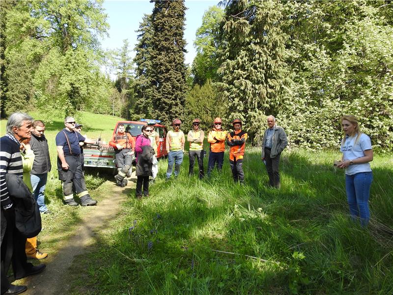 U Arboretumu Opeka stručna radionica orezivanja 10 veteranskih lipa