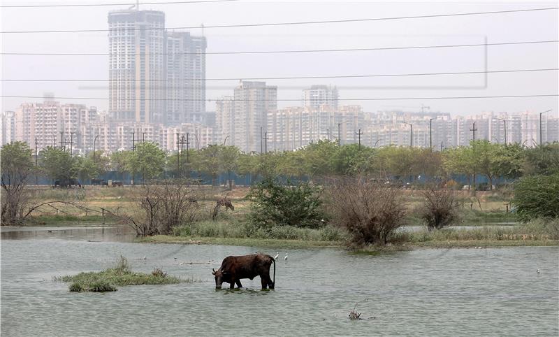 INDIA WEATHER HEATWAVE