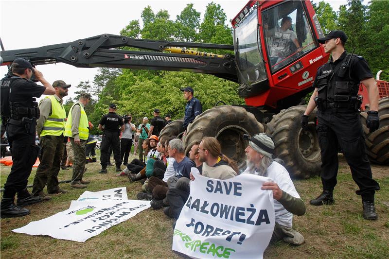 EP osudio izgradnju zida u Beloveškoj šumi na poljsko-bjeloruskoj granici